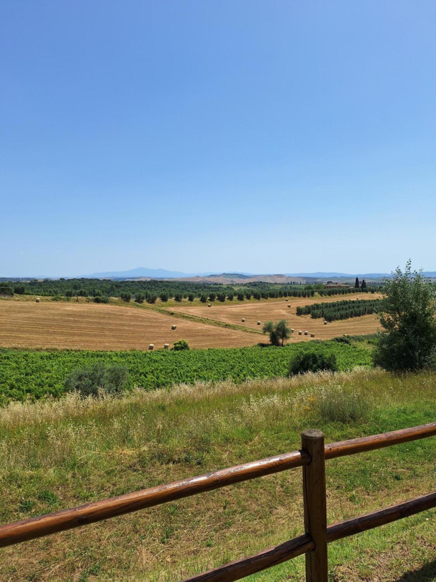 Bed and Breakfast Casa Paola Nel Chianti Castelnuovo Berardenga Zewnętrze zdjęcie